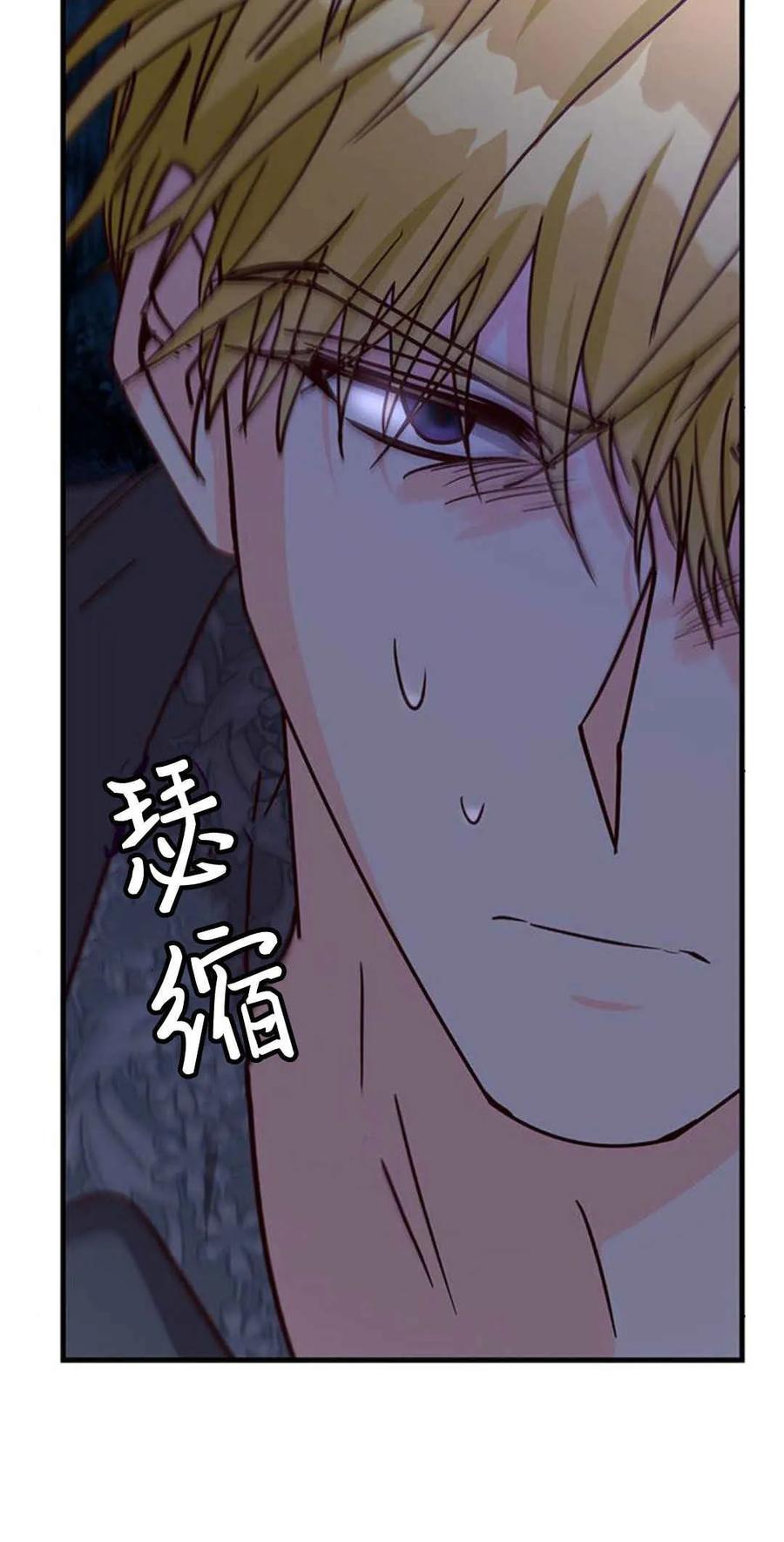伯爵小姐的双重生活 第56话 第40页