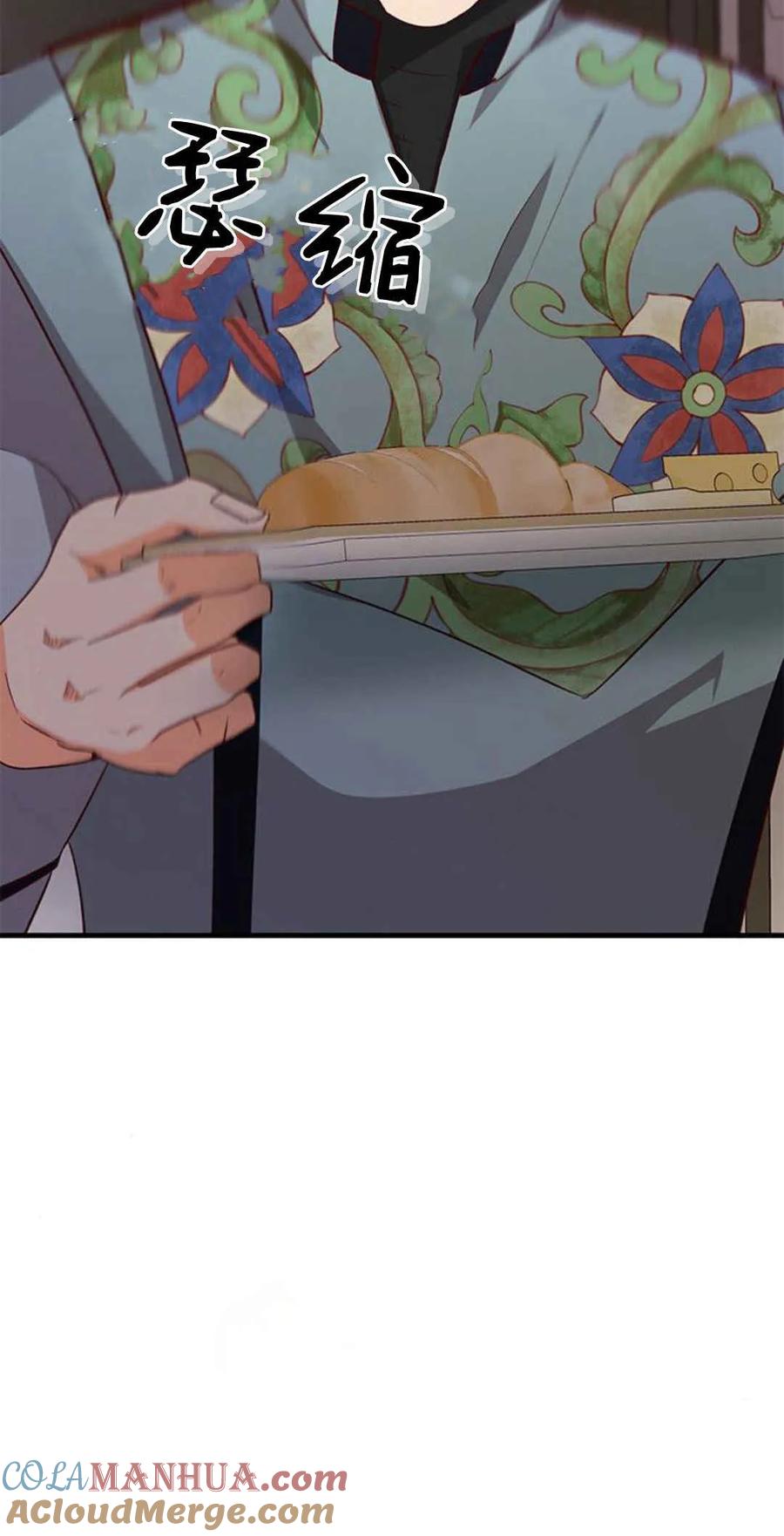 伯爵小姐的双重生活 第56话 第97页