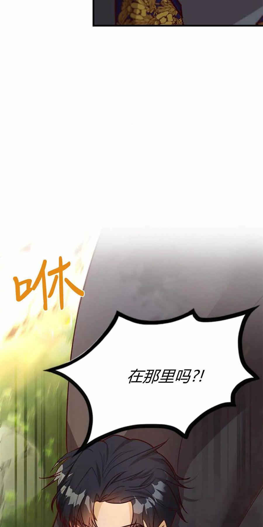 伯爵小姐的双重生活 第57话 第95页