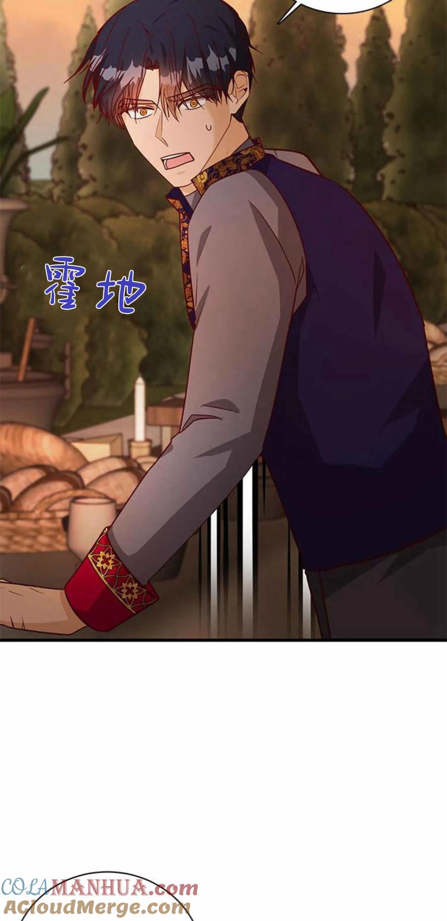 伯爵小姐的双重生活 第58话 第29页
