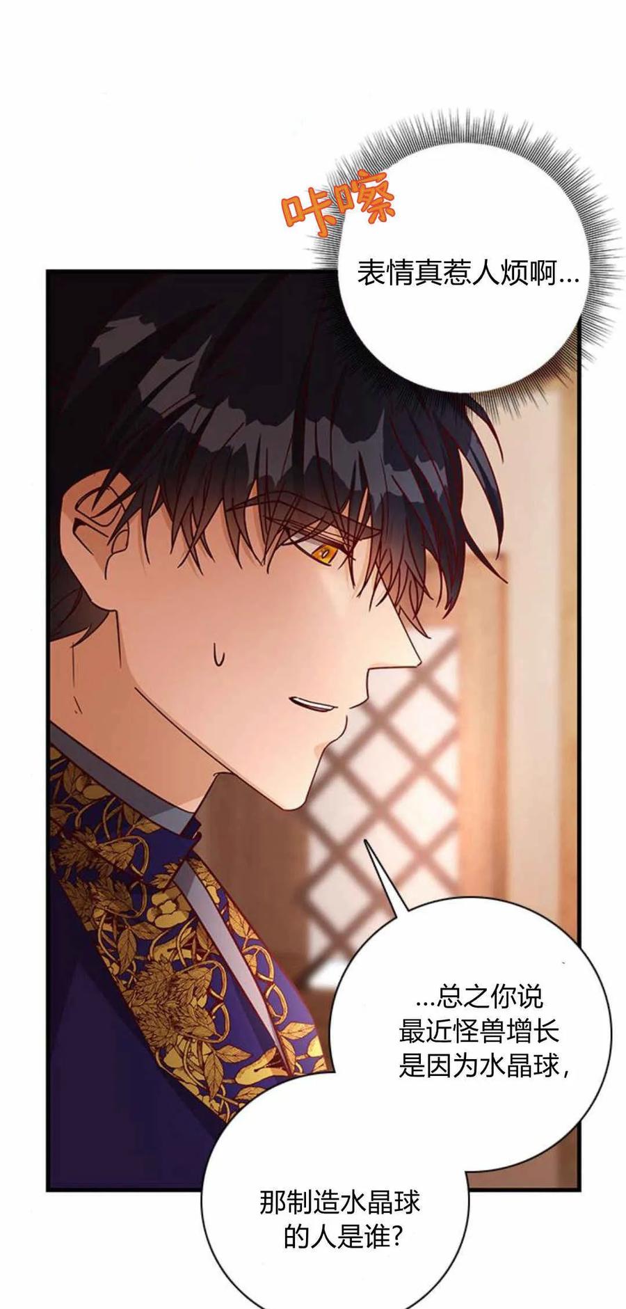 伯爵小姐的双重生活 第58话 第79页