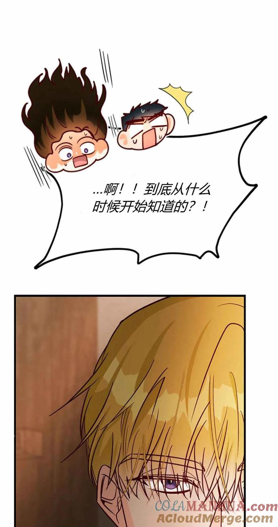 伯爵小姐的双重生活 第58话 第85页