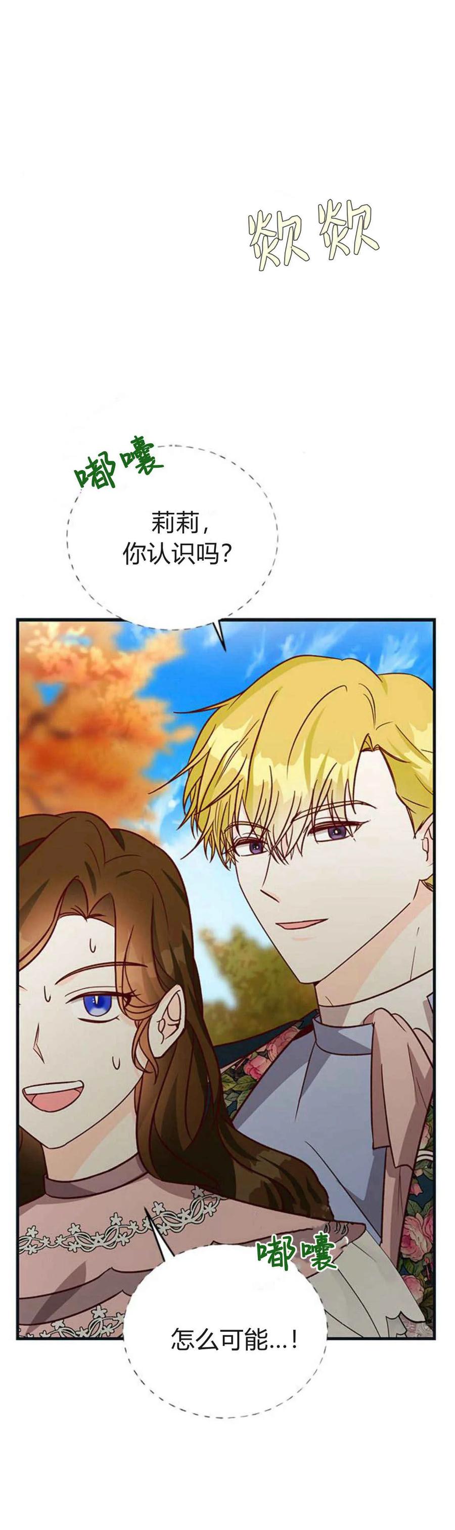 伯爵小姐的双重生活 第60话 第51页