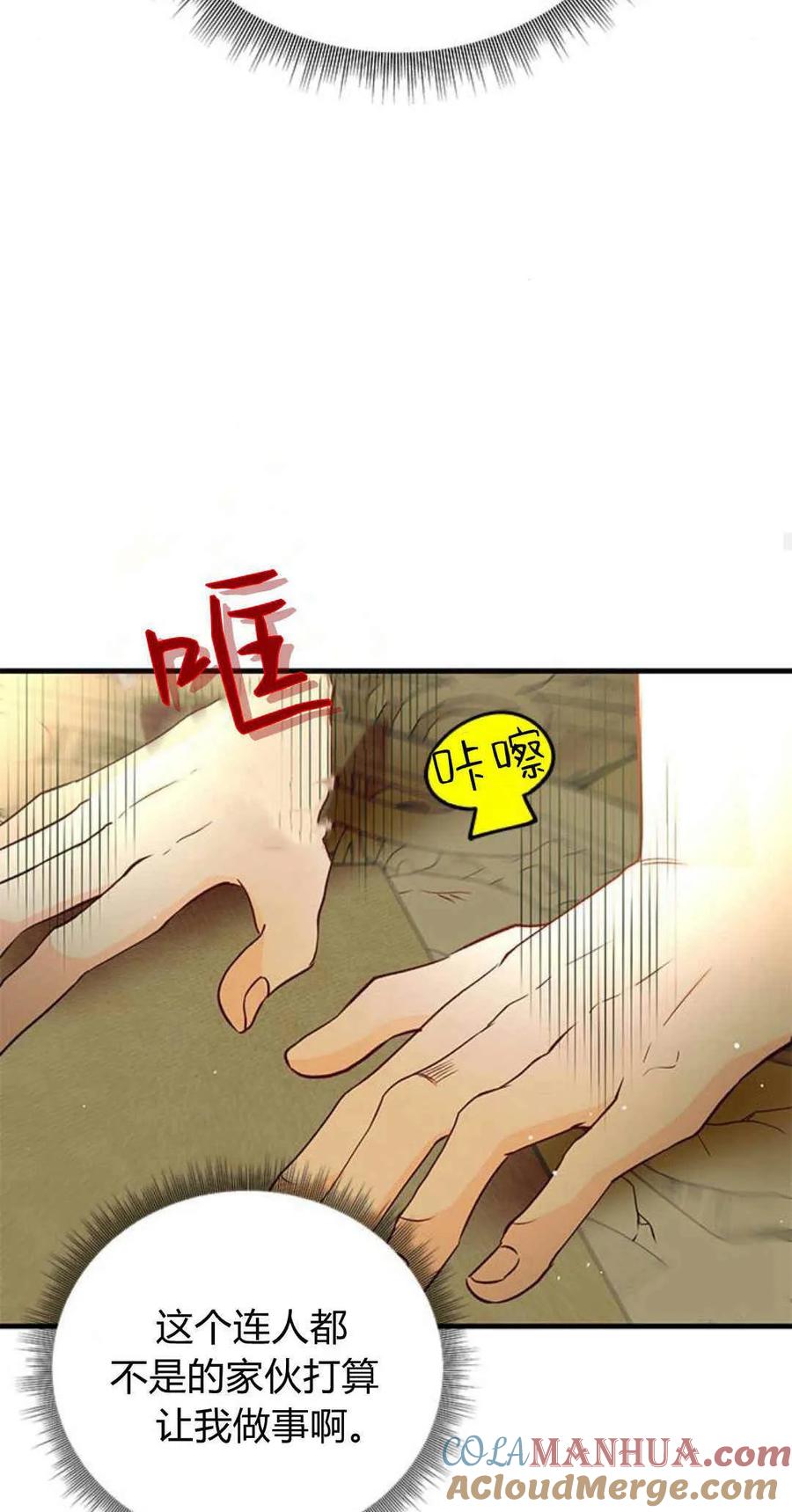 伯爵小姐的双重生活 第61话 第65页