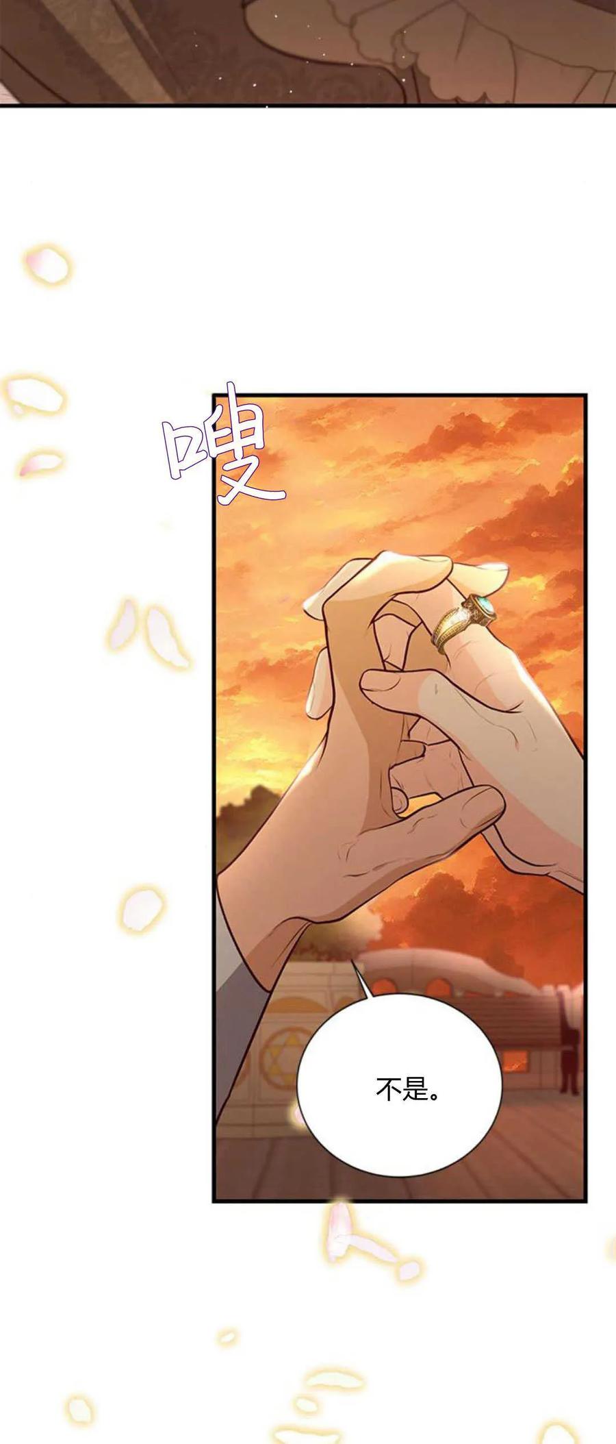 伯爵小姐的双重生活 第63话 第3页