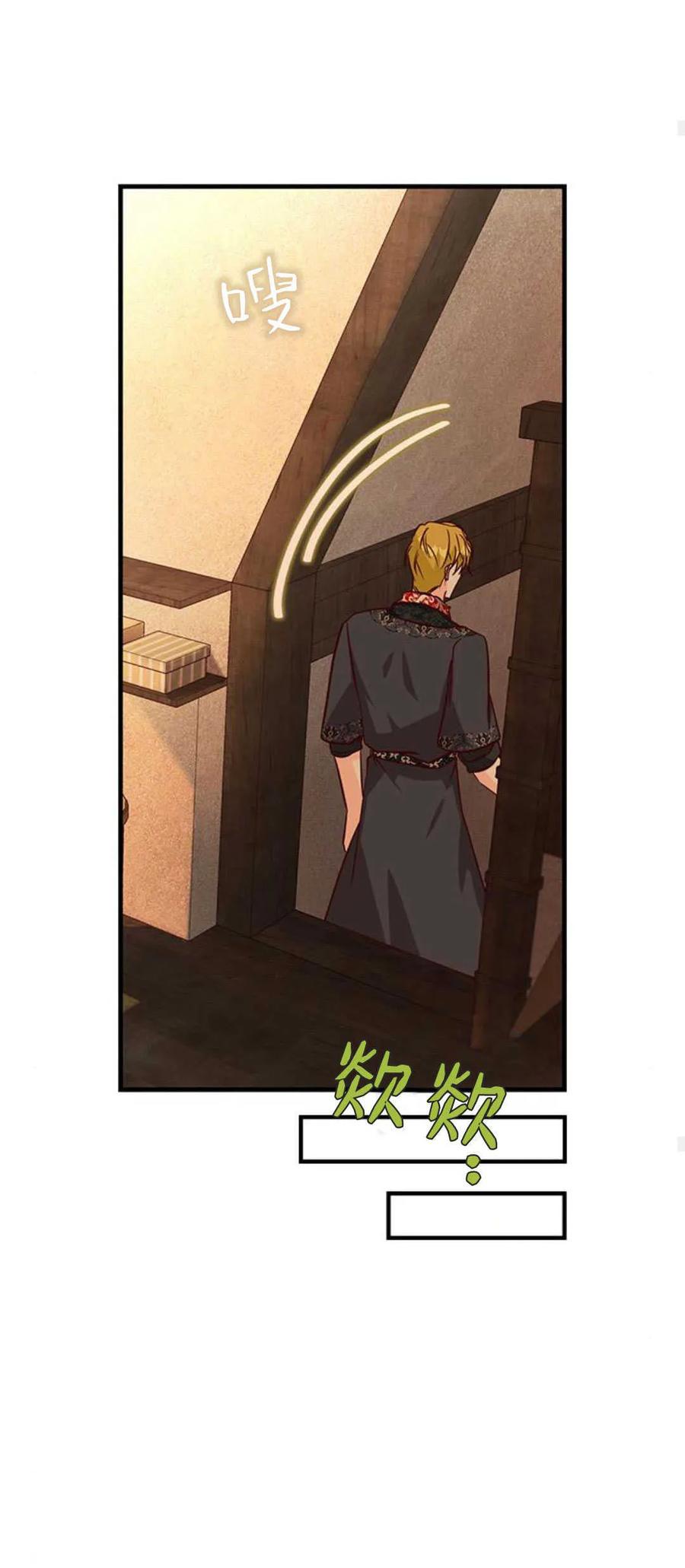 伯爵小姐的双重生活 第63话 第54页