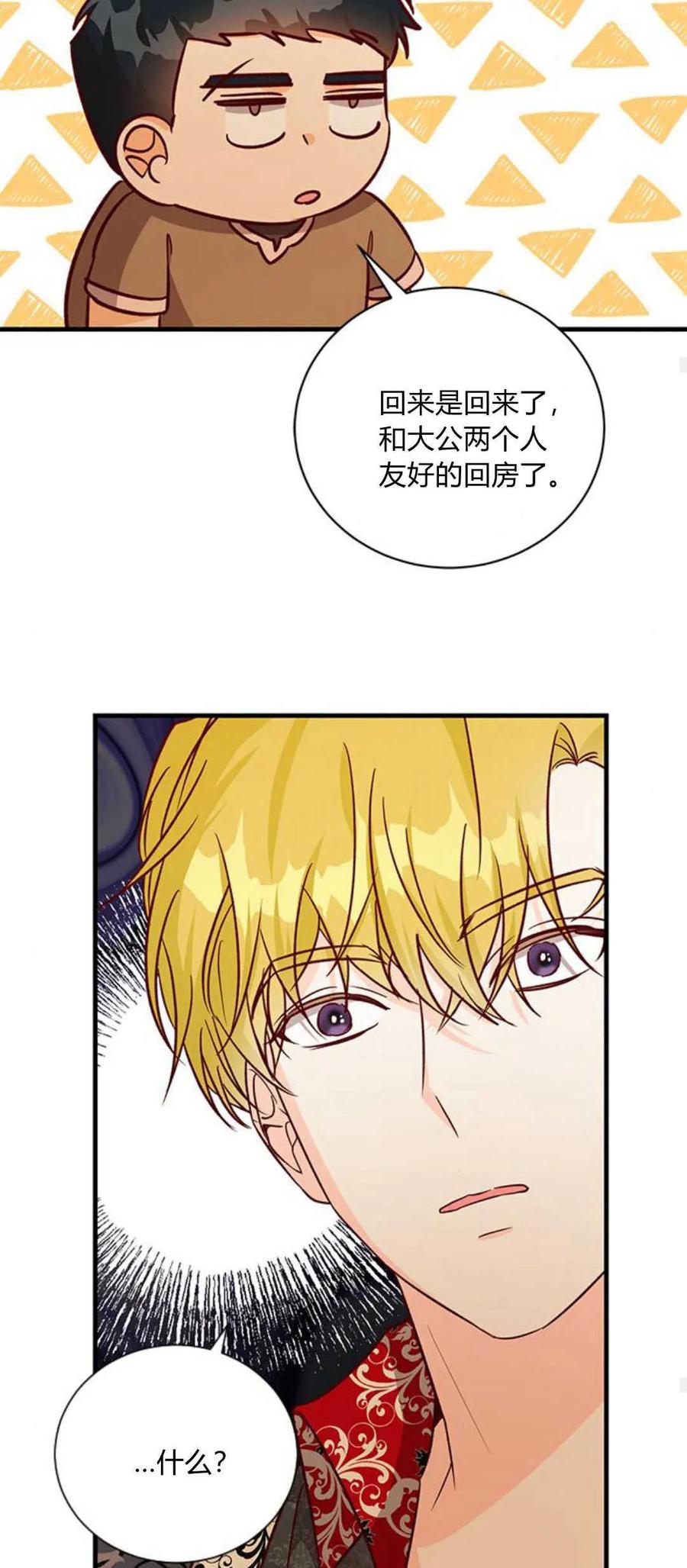 伯爵小姐的双重生活 第63话 第47页