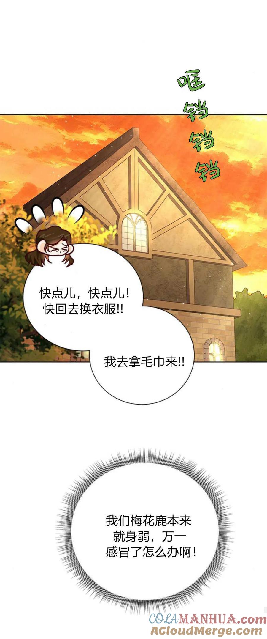 伯爵小姐的双重生活 第63话 第34页