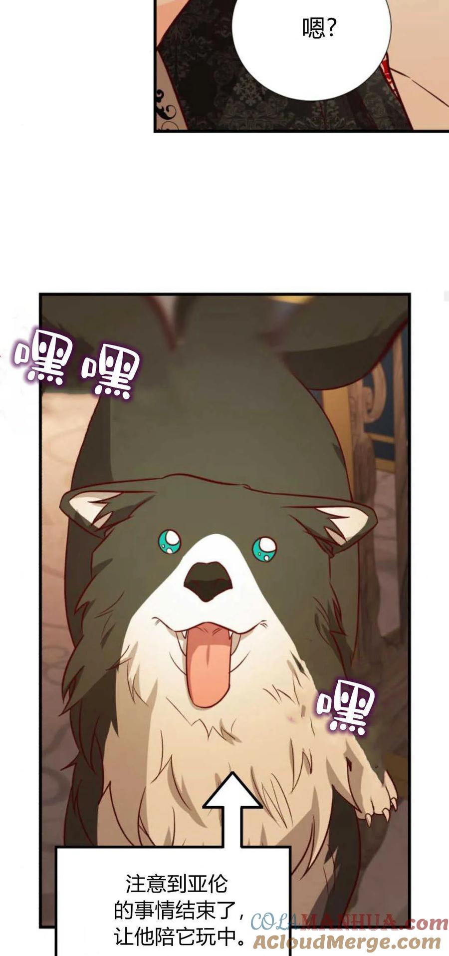伯爵小姐的双重生活 第63话 第25页