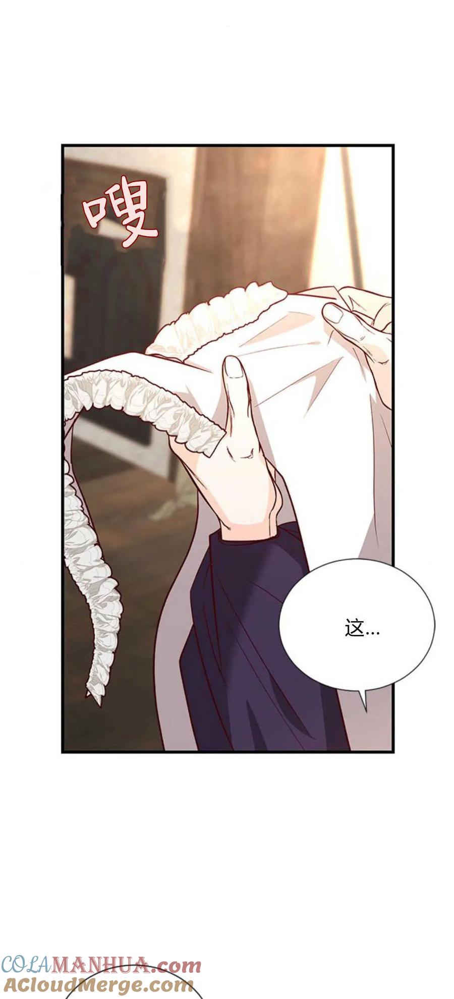 伯爵小姐的双重生活 第64话 第91页