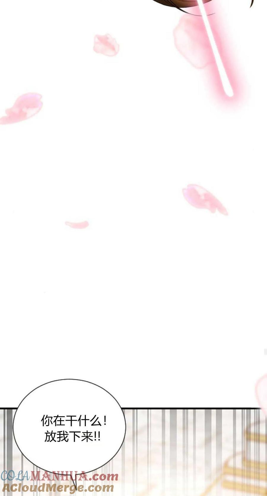 伯爵小姐的双重生活 第64话 第79页