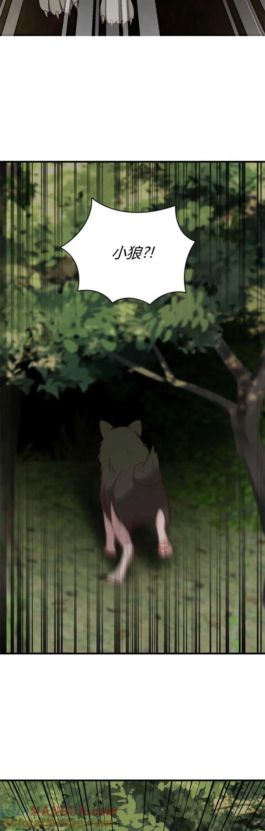 伯爵小姐的双重生活 第65话 第93页