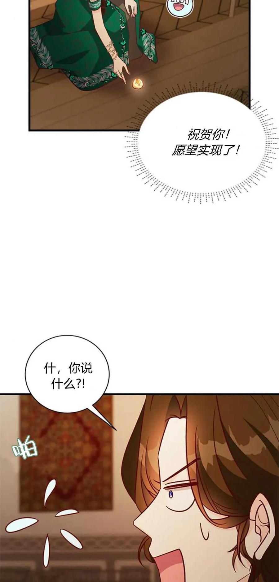 伯爵小姐的双重生活 第65话 第46页