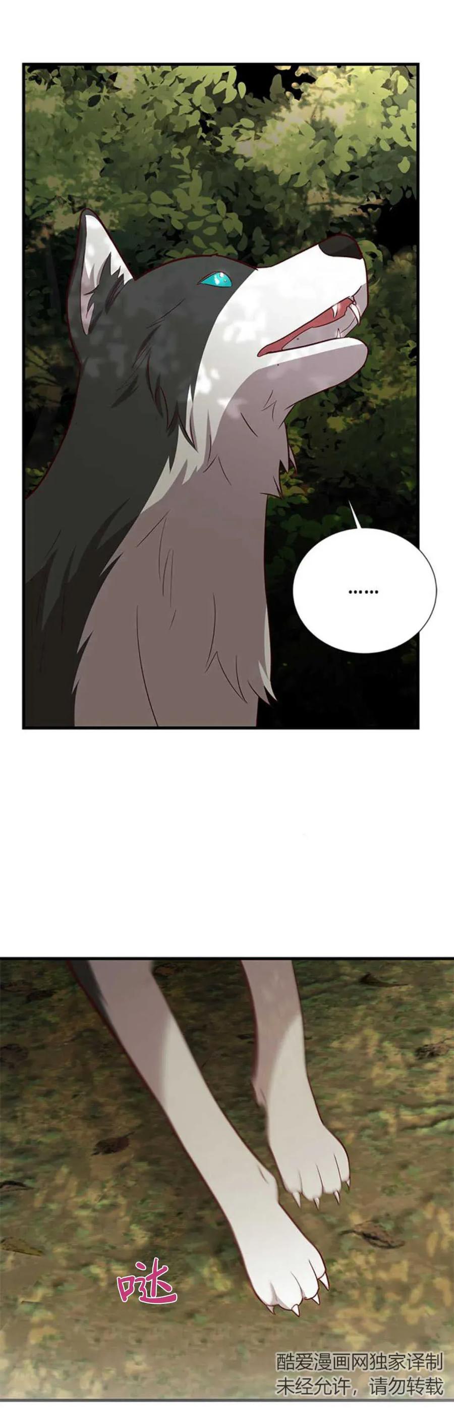 伯爵小姐的双重生活 第65话 第91页