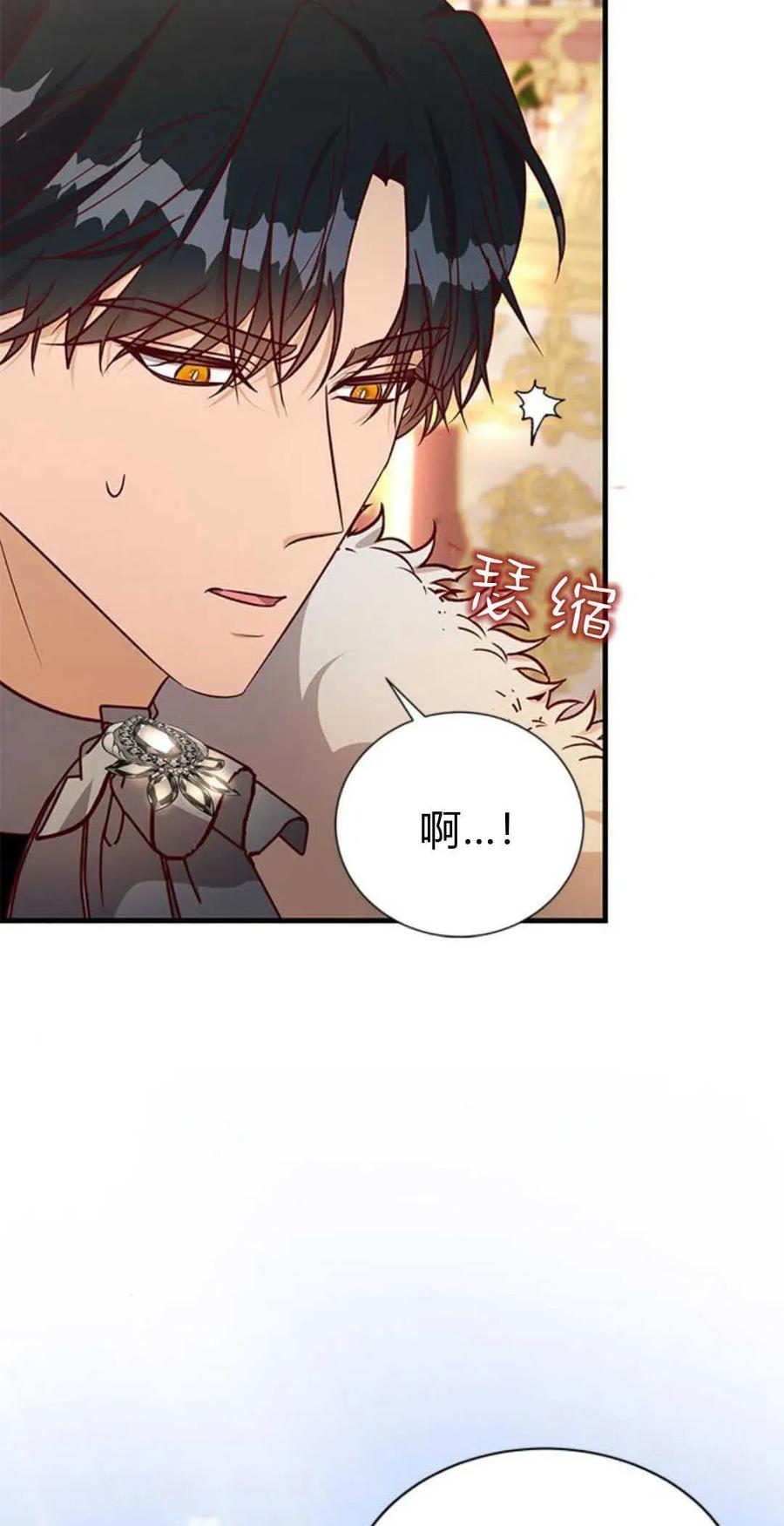 伯爵小姐的双重生活 第65话 第11页