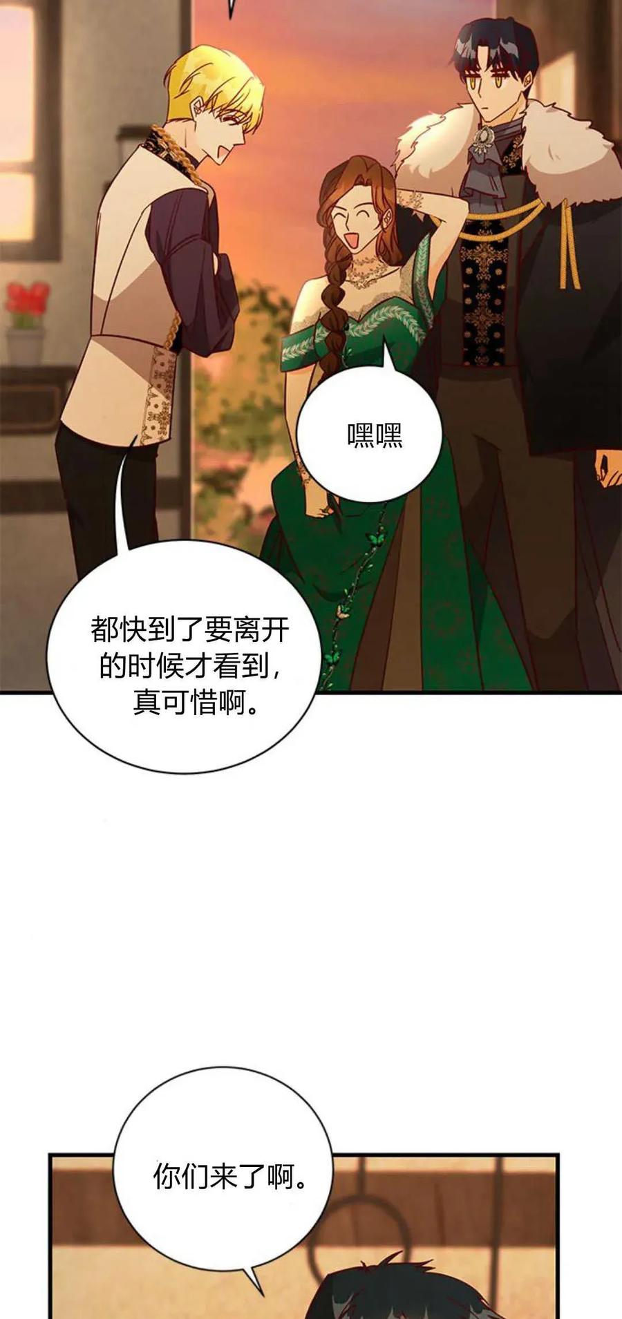 伯爵小姐的双重生活 第65话 第28页