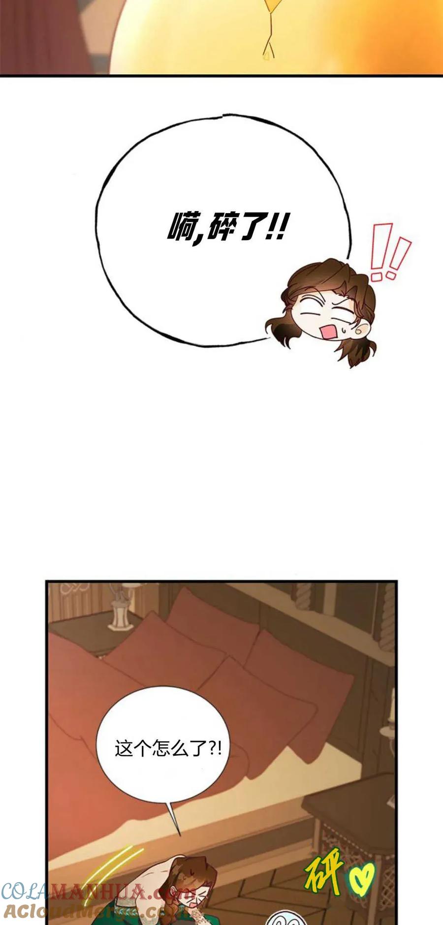 伯爵小姐的双重生活 第65话 第45页