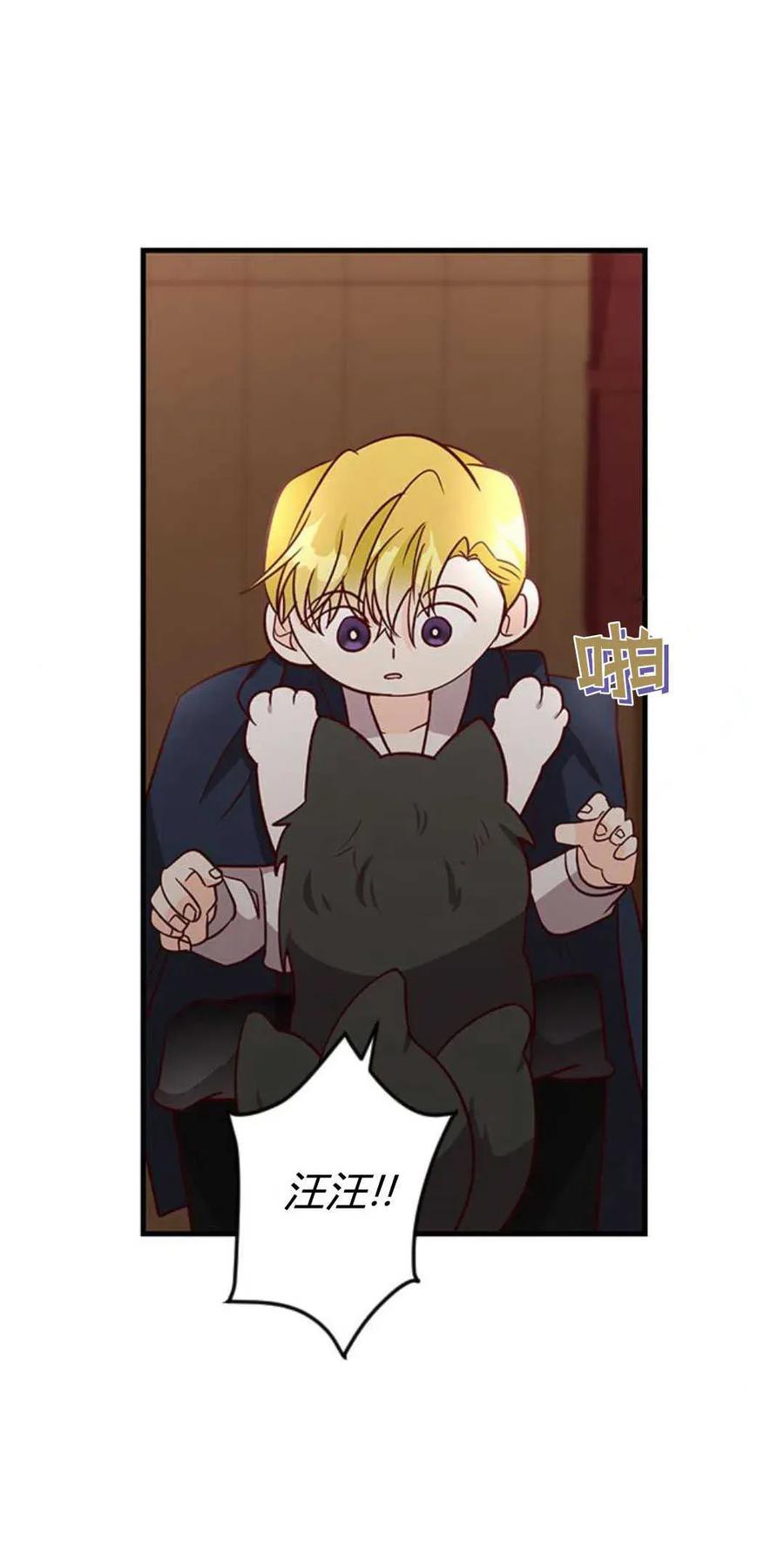 伯爵小姐的双重生活 第65话 第79页
