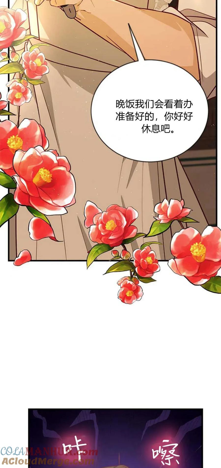 伯爵小姐的双重生活 第65话 第57页