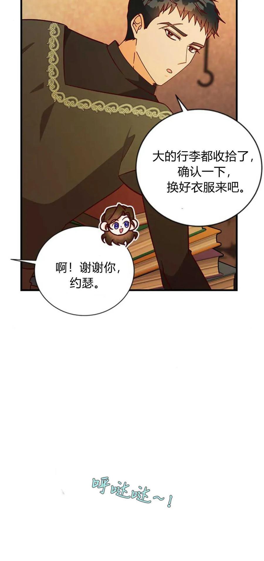 伯爵小姐的双重生活 第65话 第29页