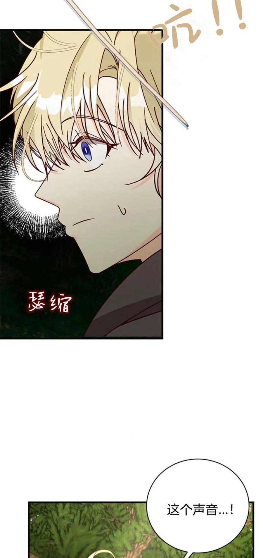 伯爵小姐的双重生活 第66话 第14页