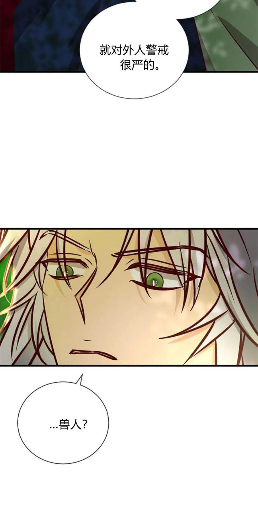 伯爵小姐的双重生活 第66话 第99页