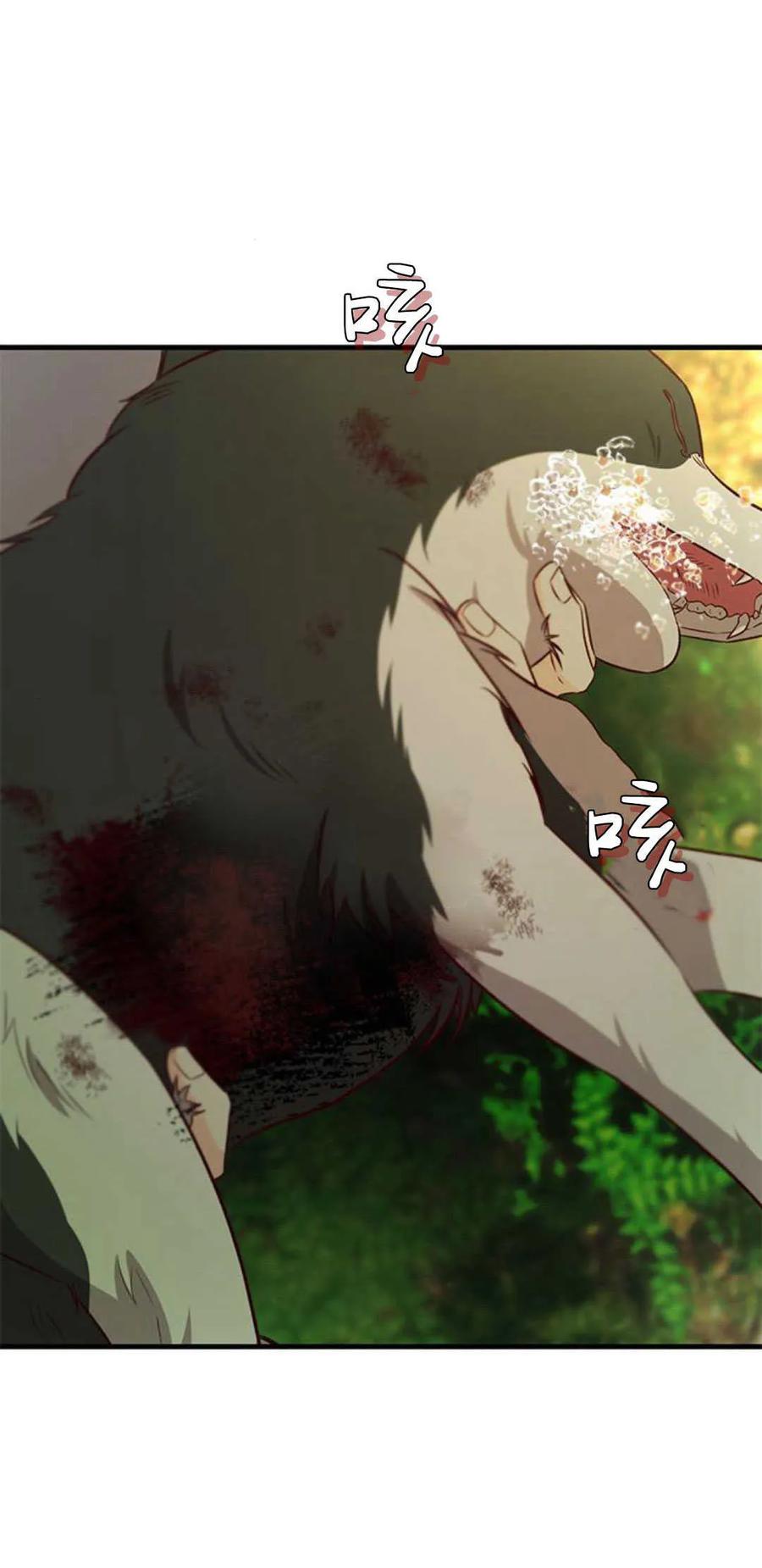 伯爵小姐的双重生活 第66话 第100页