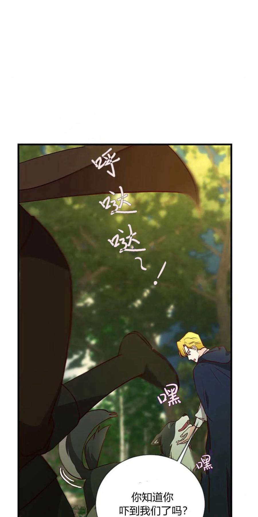 伯爵小姐的双重生活 第66话 第44页