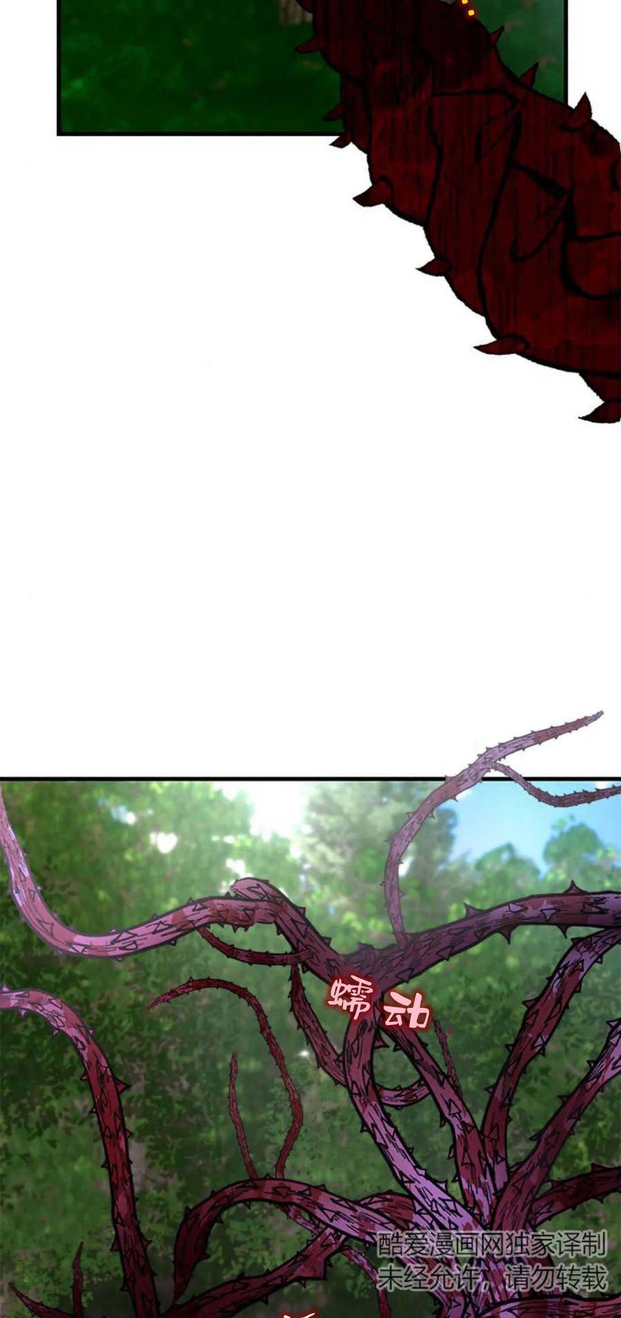 伯爵小姐的双重生活 第66话 第19页