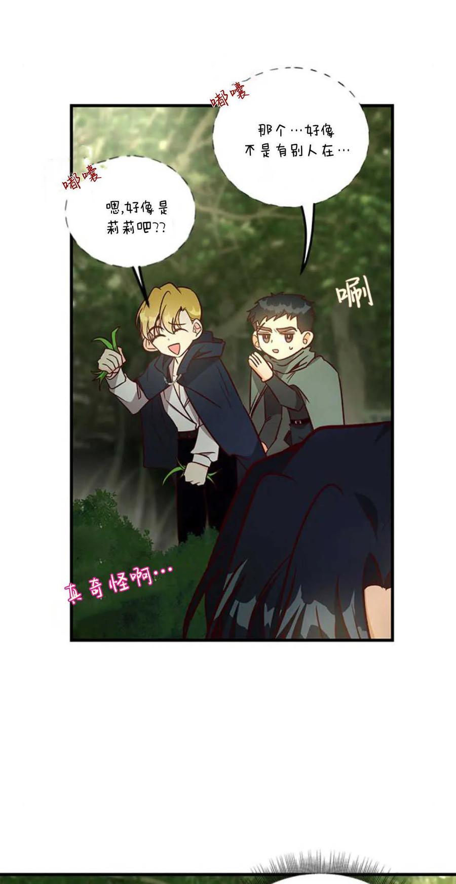 伯爵小姐的双重生活 第66话 第28页