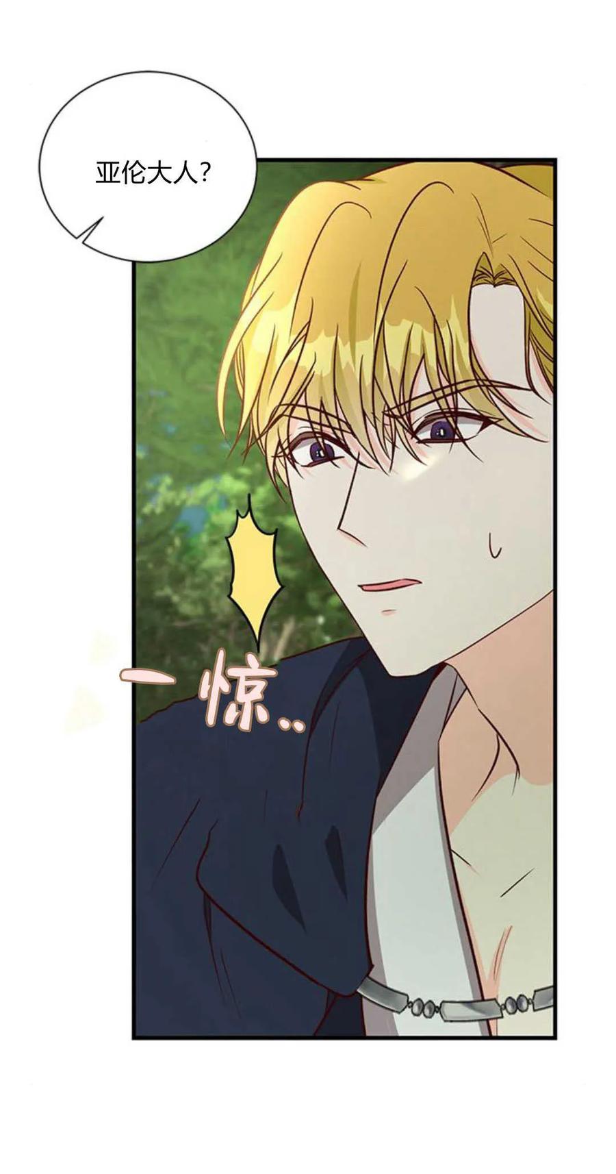 伯爵小姐的双重生活 第66话 第40页