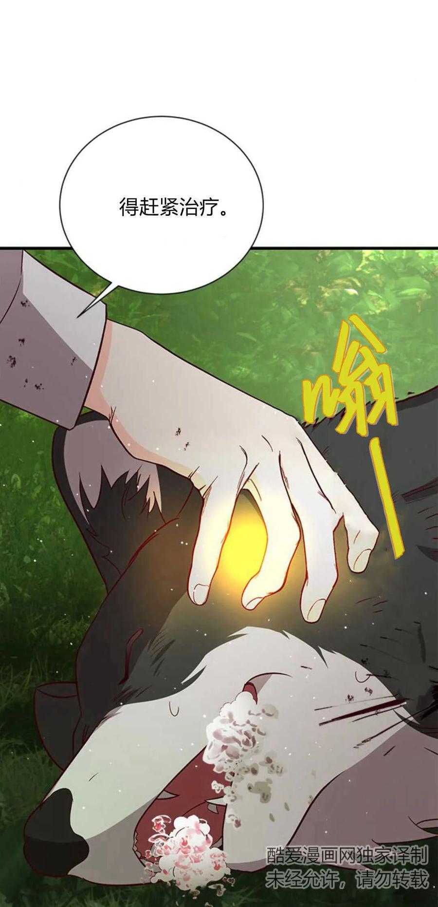 伯爵小姐的双重生活 第66话 第67页
