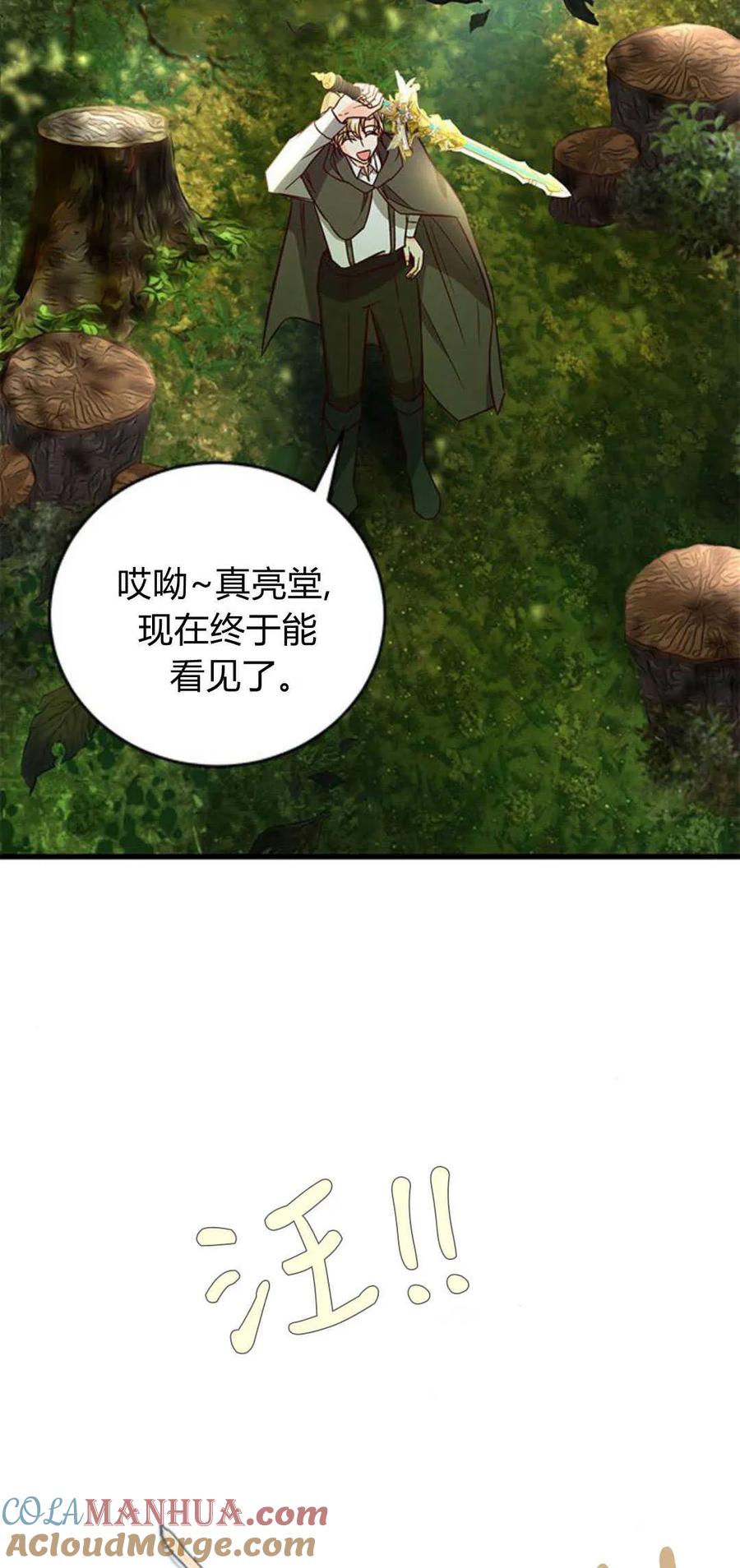 伯爵小姐的双重生活 第66话 第13页