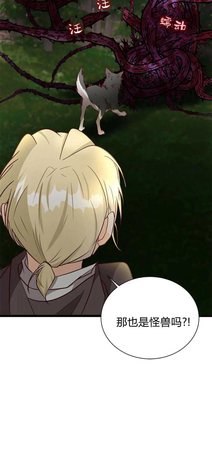 伯爵小姐的双重生活 第66话 第20页