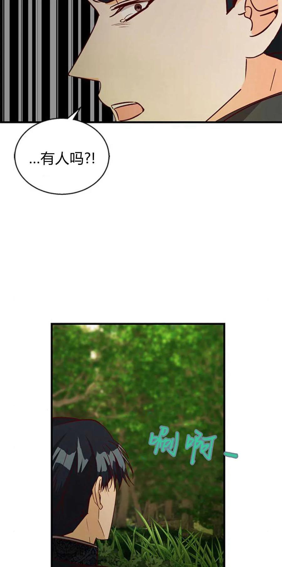 伯爵小姐的双重生活 第66话 第78页