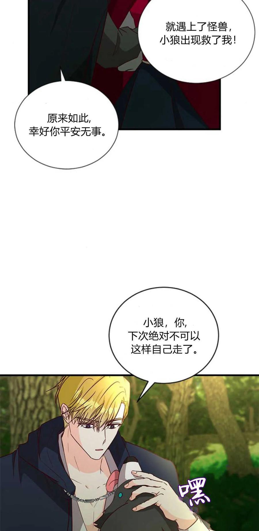 伯爵小姐的双重生活 第66话 第54页