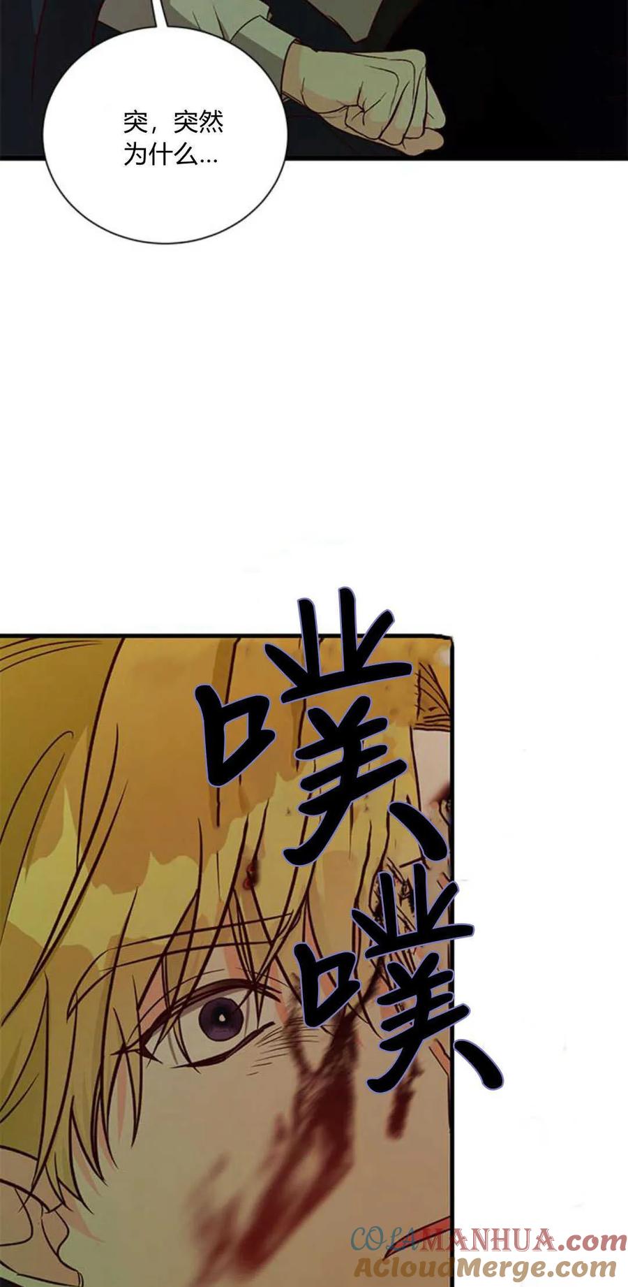 伯爵小姐的双重生活 第66话 第57页