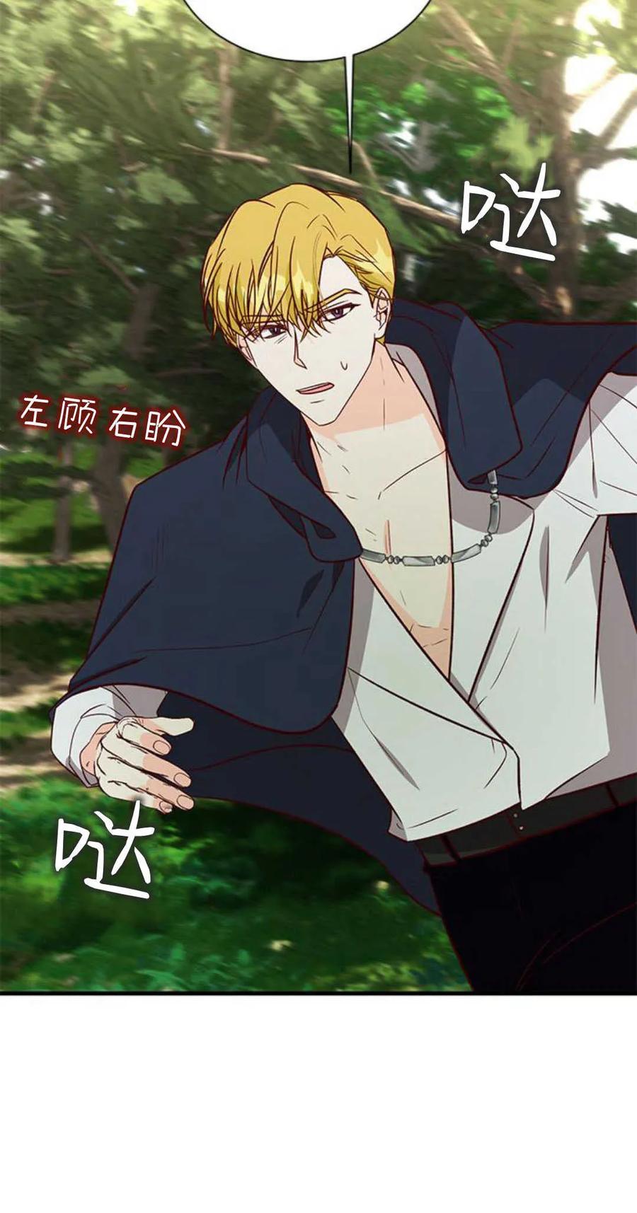 伯爵小姐的双重生活 第66话 第39页