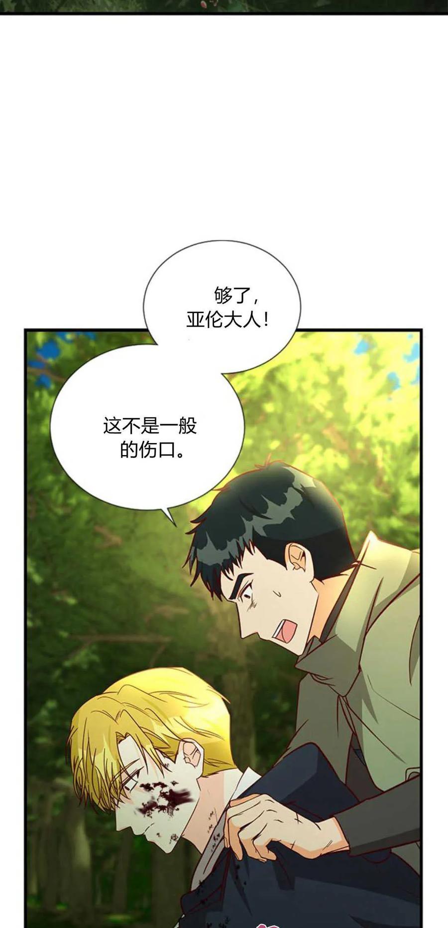 伯爵小姐的双重生活 第66话 第68页