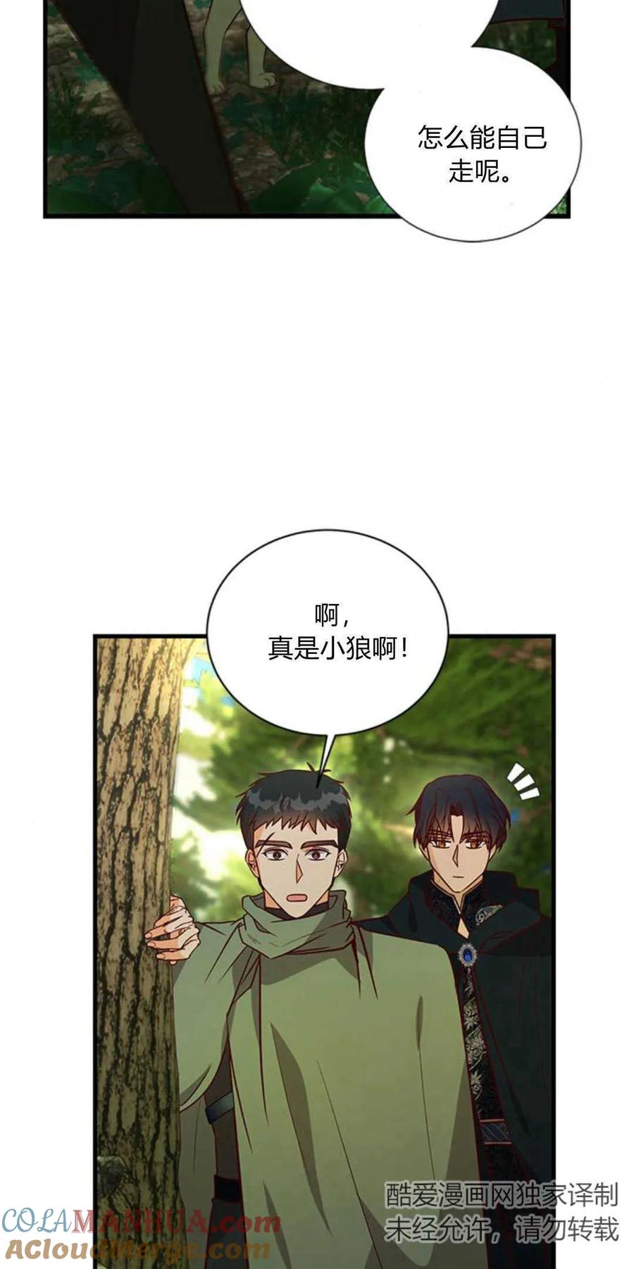 伯爵小姐的双重生活 第66话 第45页