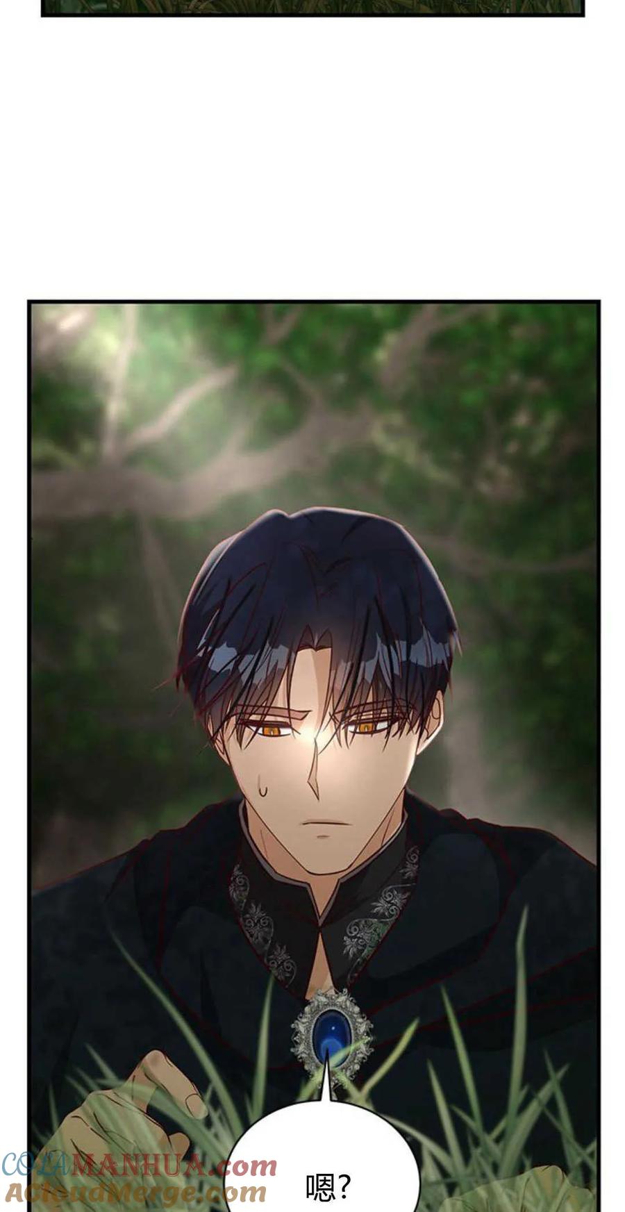 伯爵小姐的双重生活 第66话 第25页