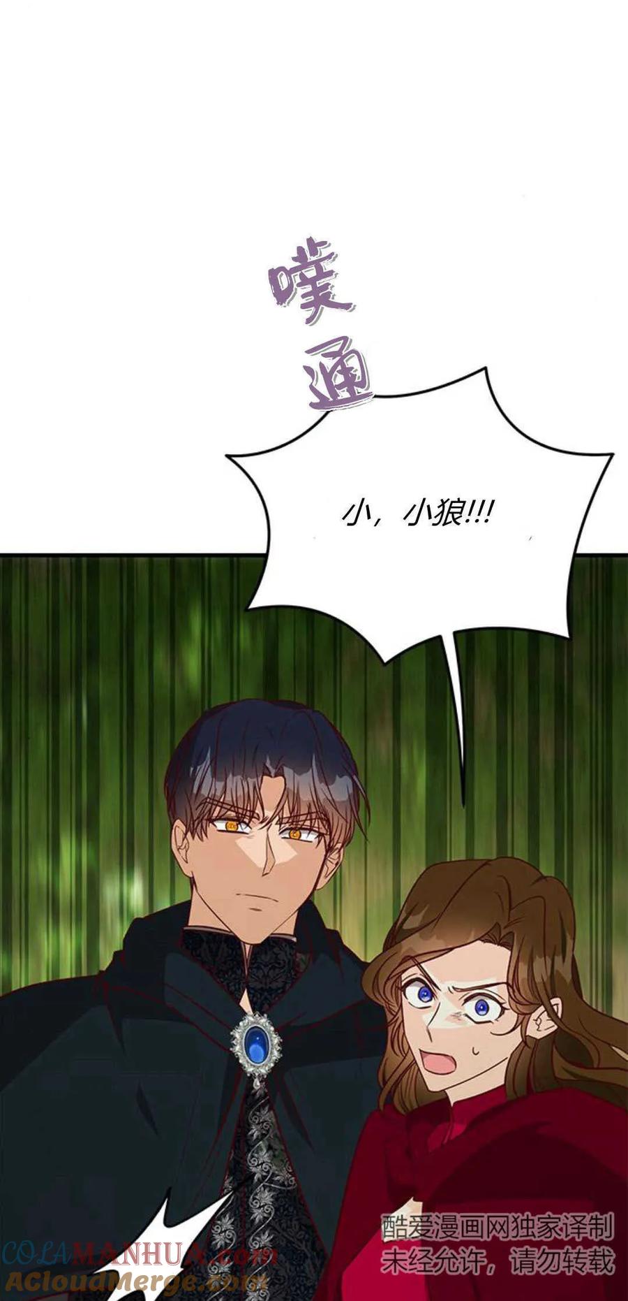 伯爵小姐的双重生活 第66话 第61页