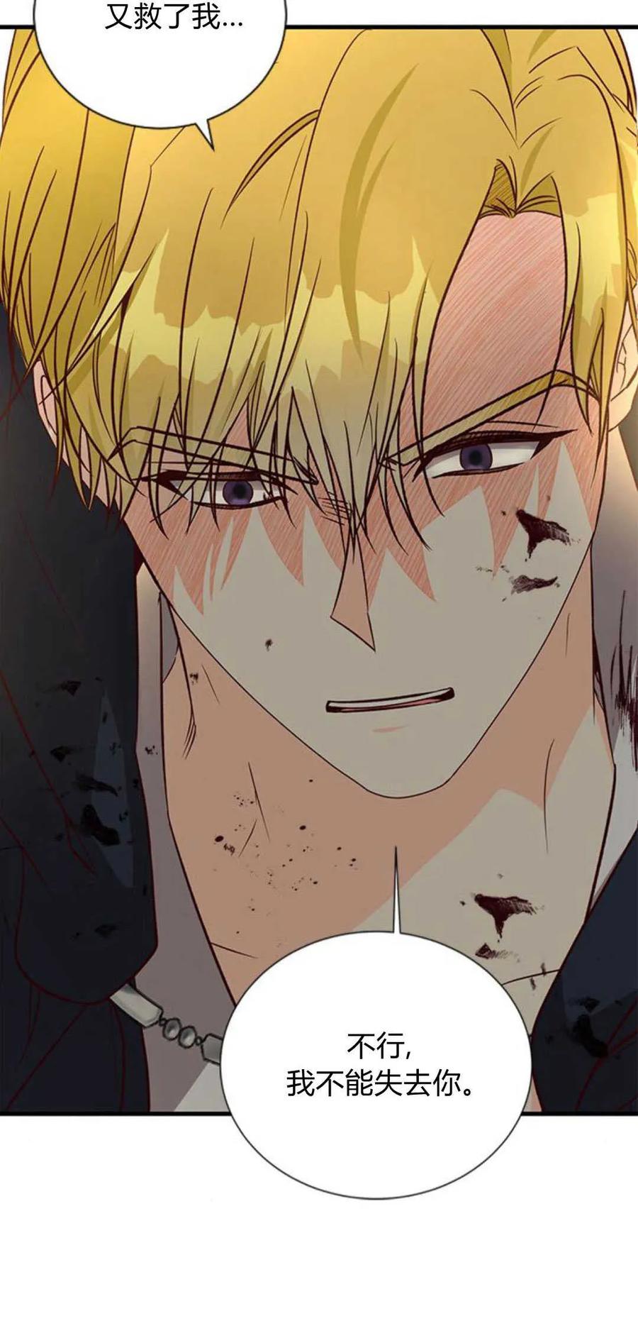 伯爵小姐的双重生活 第66话 第66页