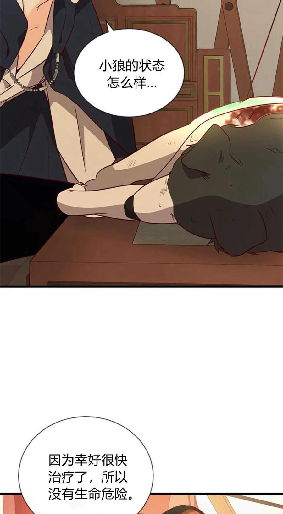 伯爵小姐的双重生活 第67话 第19页