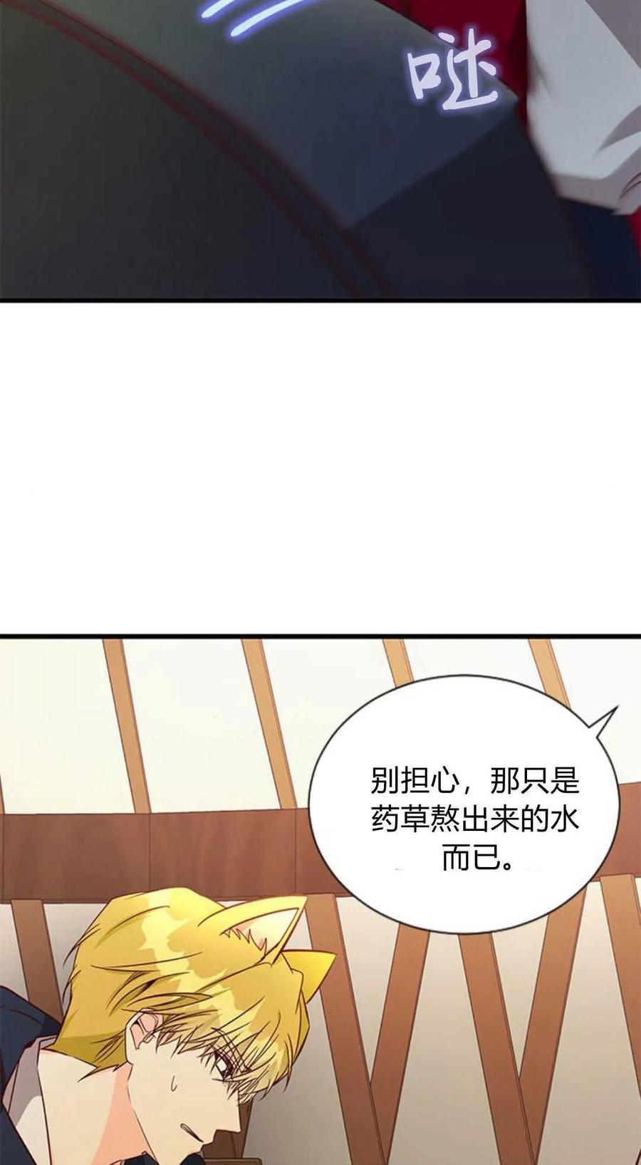 伯爵小姐的双重生活 第67话 第18页