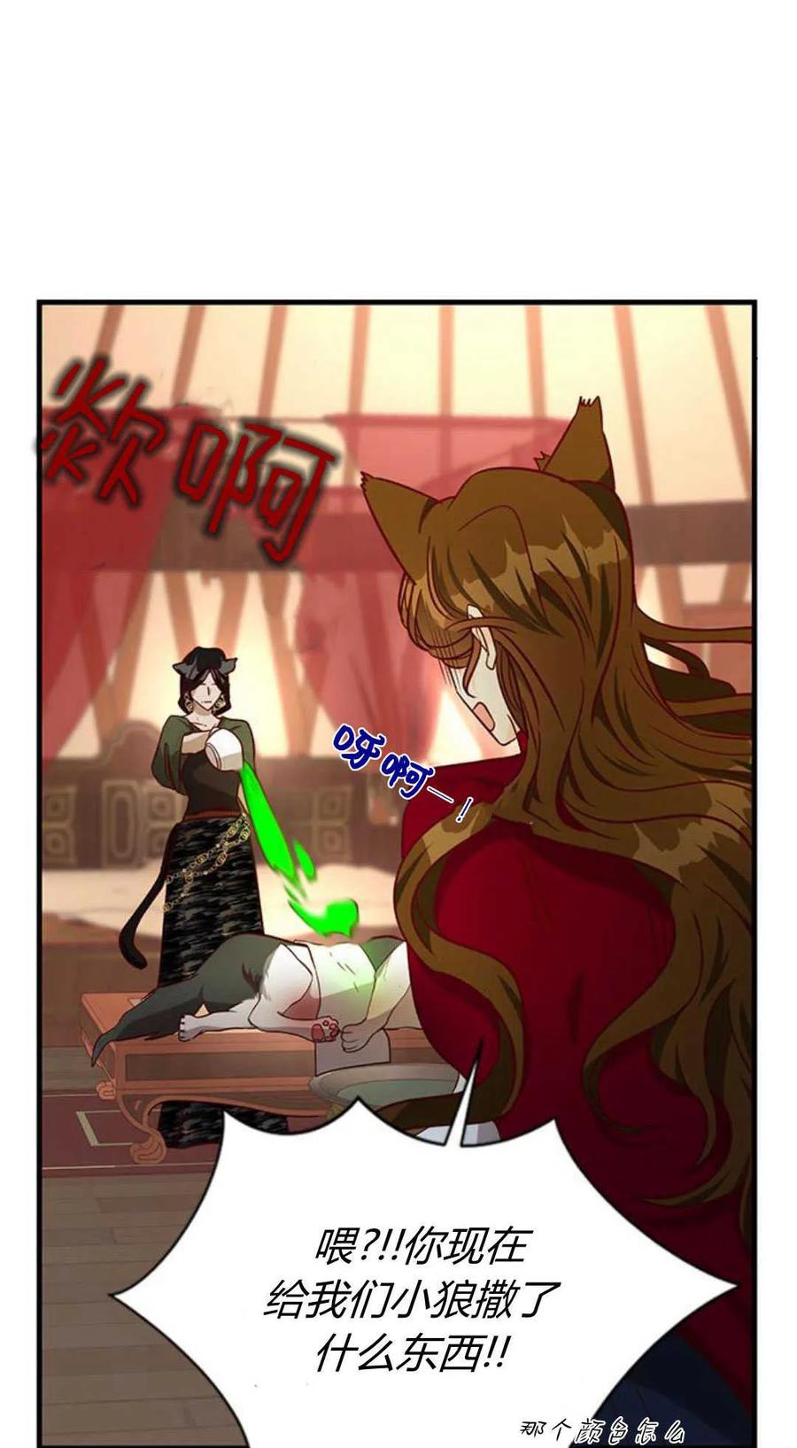 伯爵小姐的双重生活 第67话 第14页