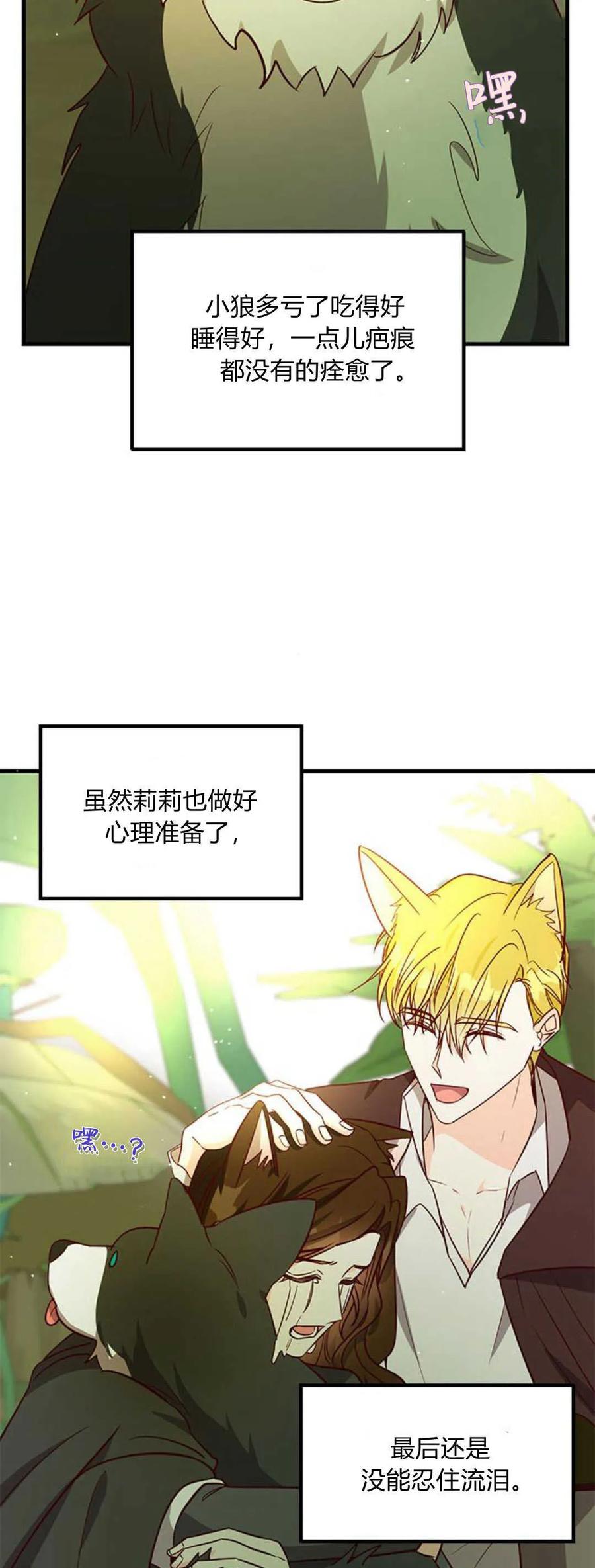 伯爵小姐的双重生活 第67话 第94页