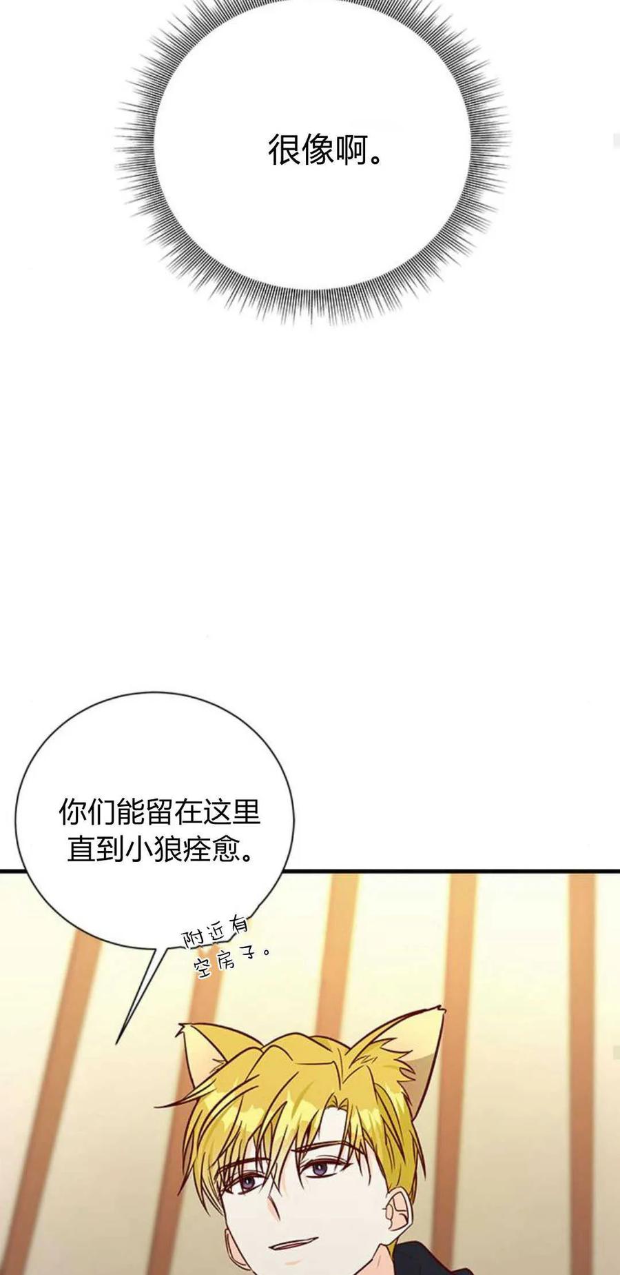 伯爵小姐的双重生活 第67话 第39页