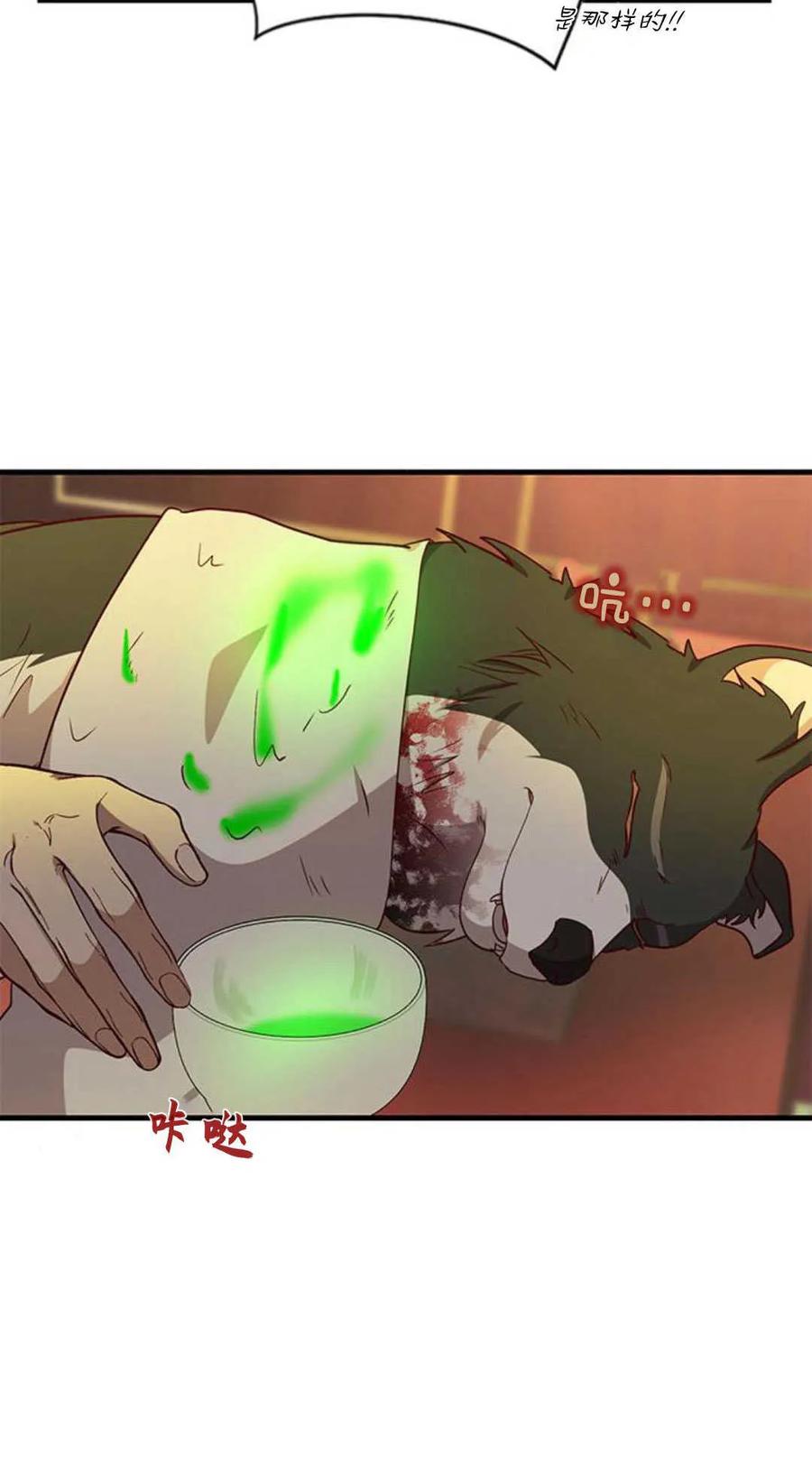 伯爵小姐的双重生活 第67话 第15页
