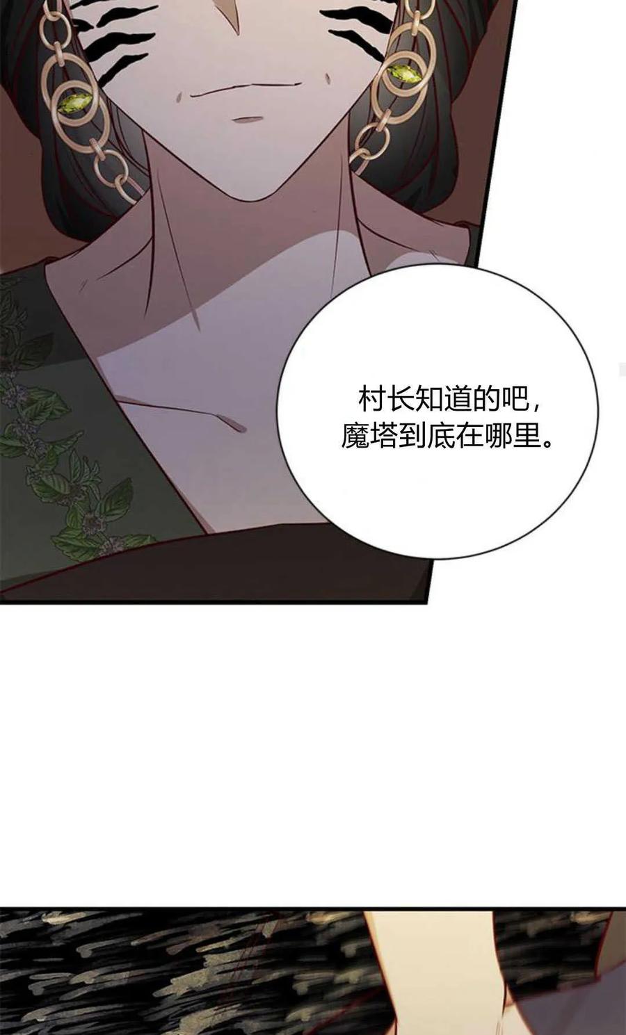 伯爵小姐的双重生活 第67话 第75页